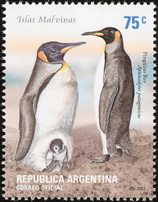Königspinguine mit Jungem