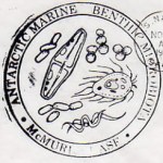 85mcmurdomarinebentic
