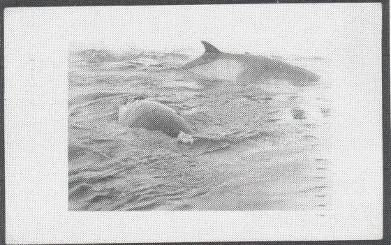 b2gk04