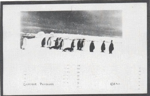 b2gk08